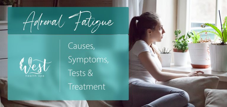 HPA Axis and Adrenal Fatigue