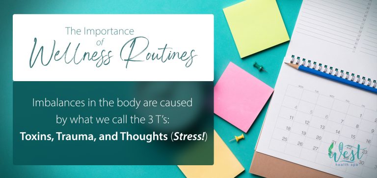 The Importance of Wellness Routines